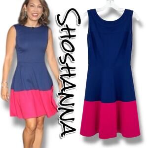 Shoshanna Blue & Pink Color Block Fit and Flare Dress Sleeveless Womens Size 0